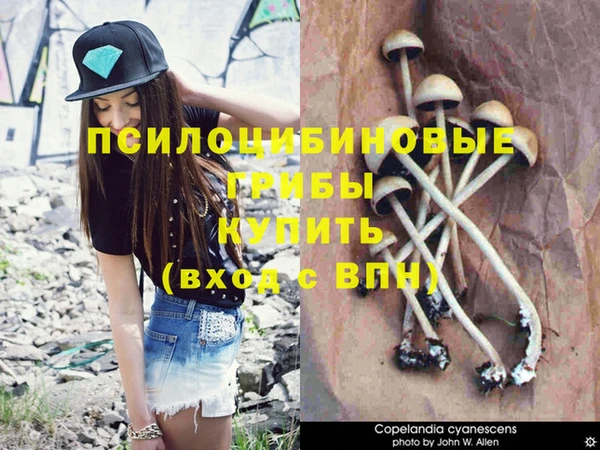 мдма Волоколамск