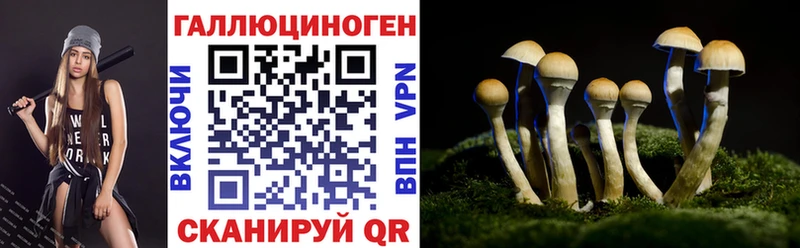 Купить закладки  Бодайбо  Галлюциногенные грибы Magic Shrooms 